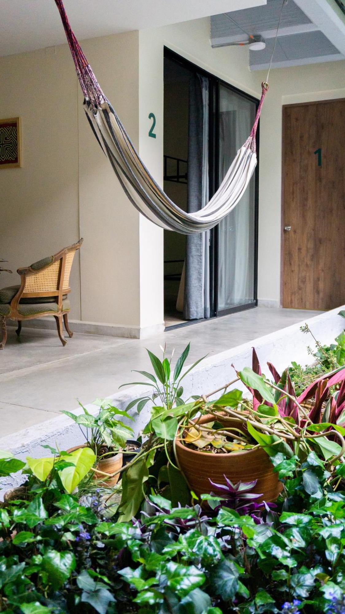 メデジン Selva House Bed & Breakfast エクステリア 写真