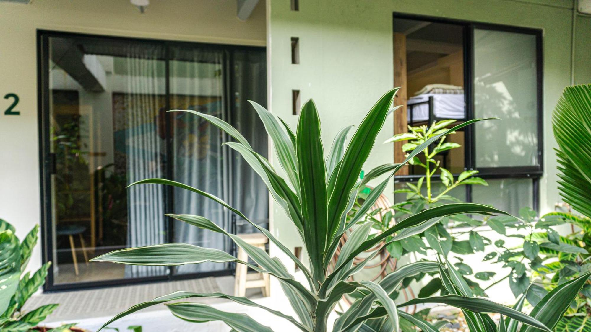 メデジン Selva House Bed & Breakfast エクステリア 写真