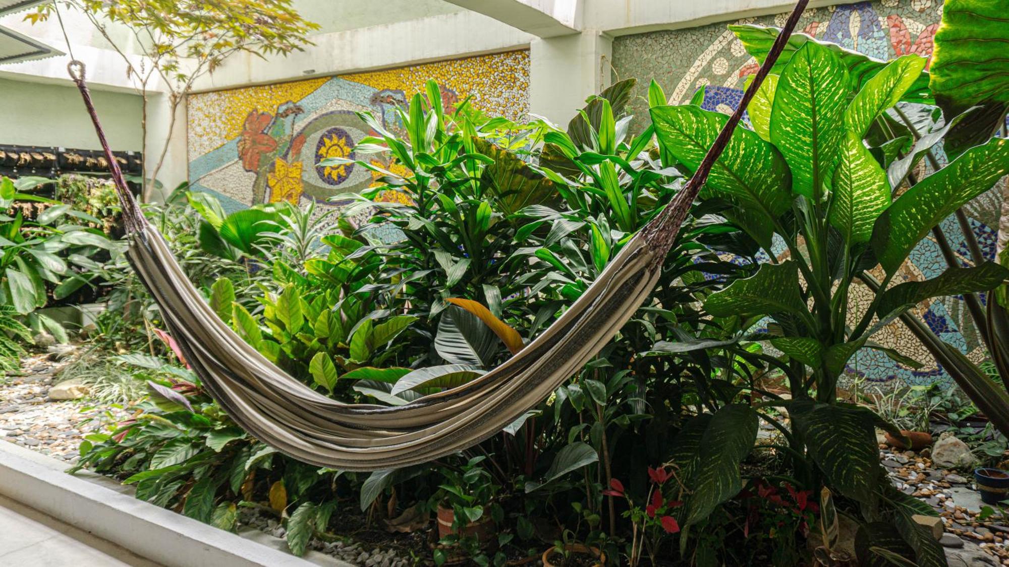 メデジン Selva House Bed & Breakfast エクステリア 写真